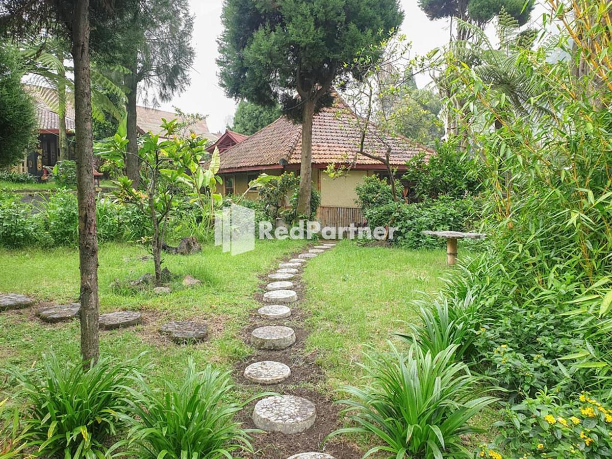 Hotel Yoschi'S Bromo At Desa Wisata Bromo Ngadisari ภายนอก รูปภาพ
